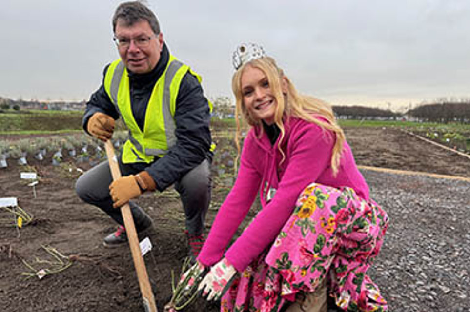 IGA2027-Geschäftsführer Horst Fischer pflanzt gemeinsam mit der Steinfurther Rosenkönigin Theresa Hildebrandt die erste Rose im RheinPark Duisburg. 