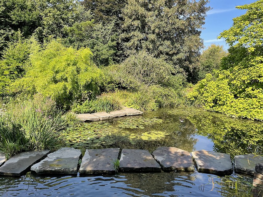 DBG-Ehrenpreis 2022 Südpark Düsseldorf